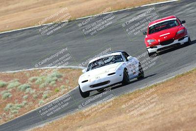 media/May-06-2023-Lucky Dog Racing (Sat) [[8f2256f436]]/Turn 2 10a/